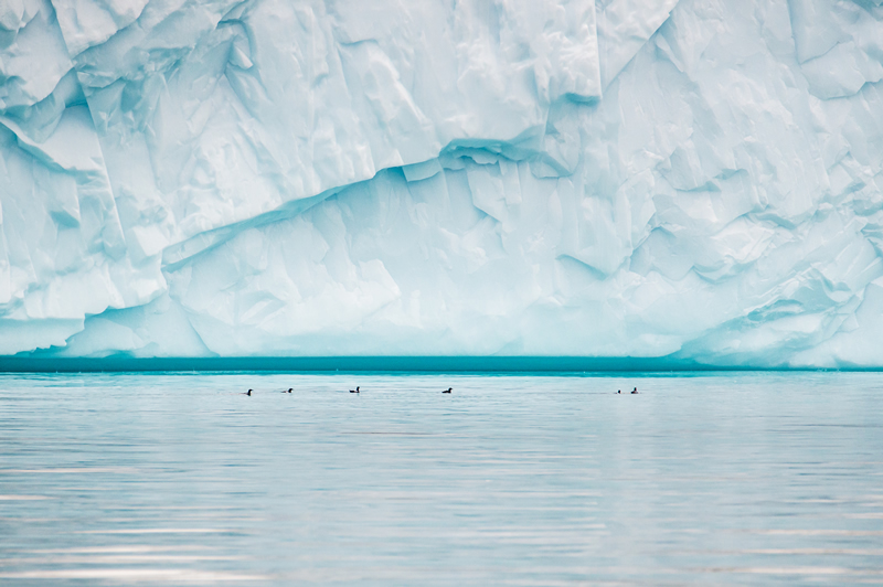 Iceberg en Disko Bay, Groenlandia.