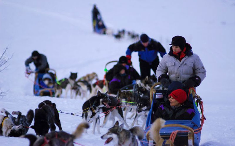 Noruega, Tromso, excursión en trineo de perros