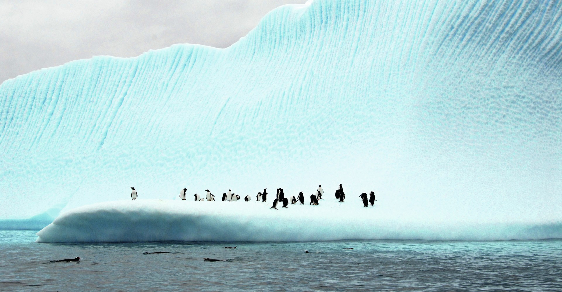 Antártida expedición al circulo Polar