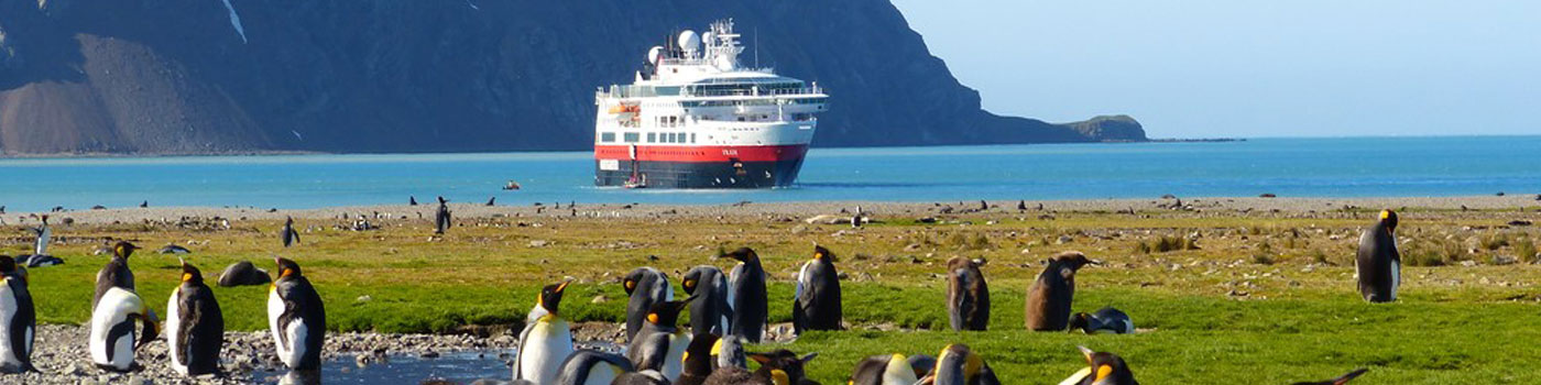 Antártida, Islas Falkland y Georgia del sur 2022