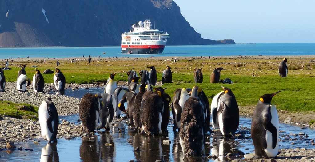 Antártida, Islas Falkland y Georgia del Sur