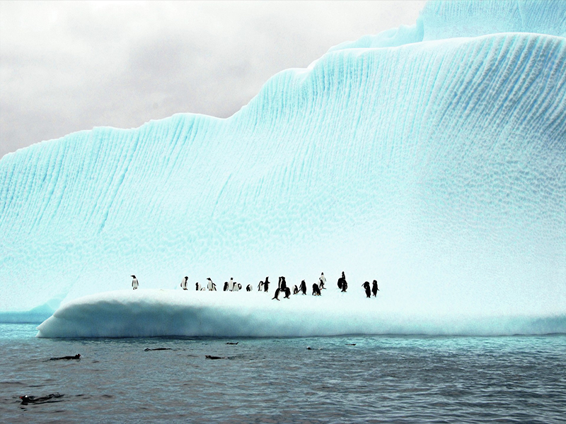 Espectacular Antártida