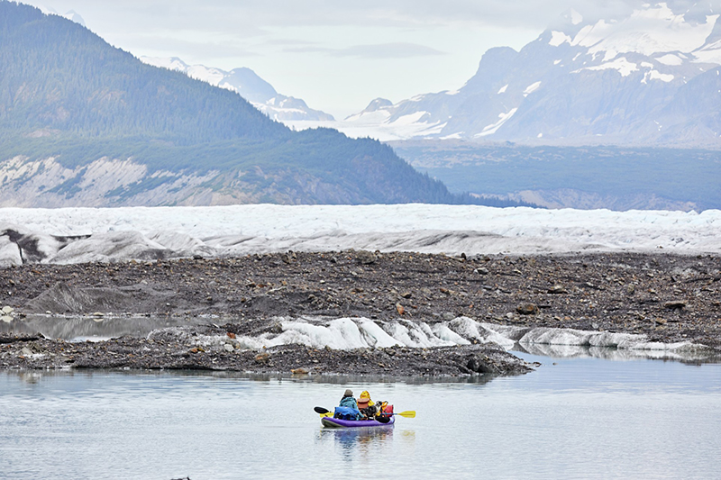 Alaska y la Columbia Britanica, Inside Passage, osos y Pasaje interior - Rumbo Sur